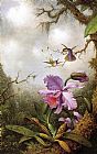 Martin Johnson Heade Canvas Paintings - Two Hummingbirds and a PinkOrchid